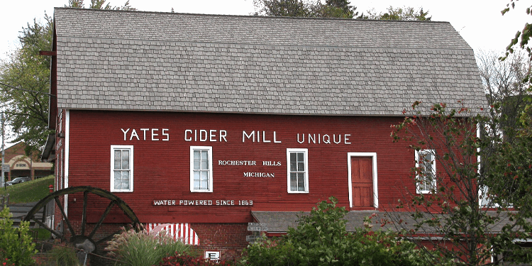 Michigan Cider Mill Season or: How I Learned to Love Standing in Line for Donuts