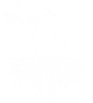 Original Michigan Roots