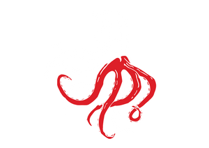 D Octopus