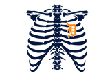 Detroit Heart Skeleton