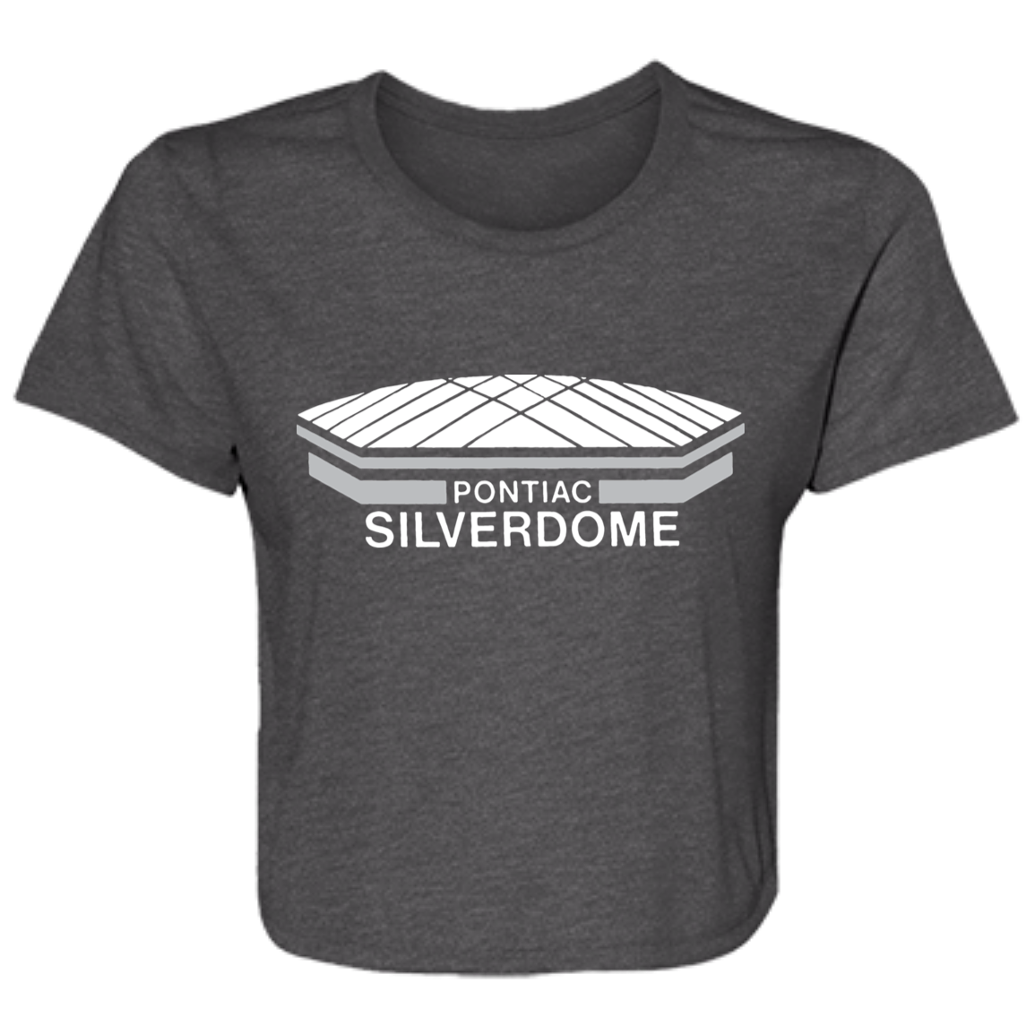 Detroit Football Silverdome Flowy Cropped Tee
