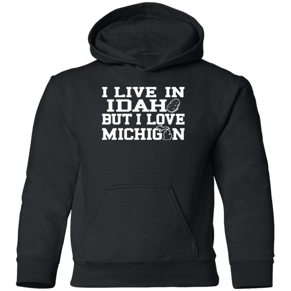 Live Idaho Love Michigan