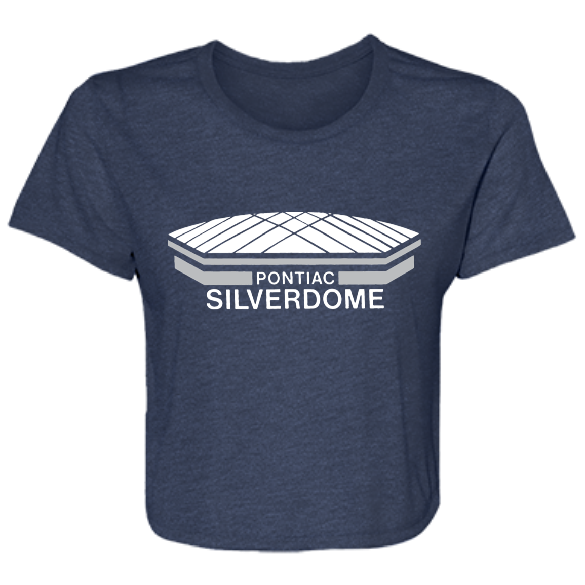 Detroit Football Silverdome Flowy Cropped Tee