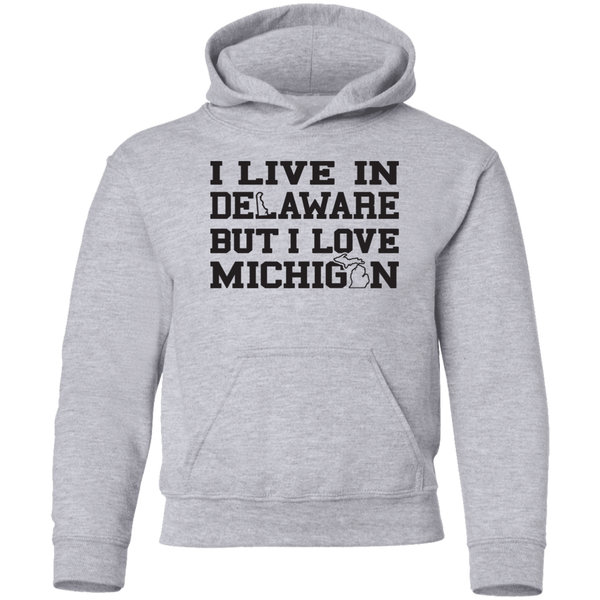 Live Delaware Love Michigan