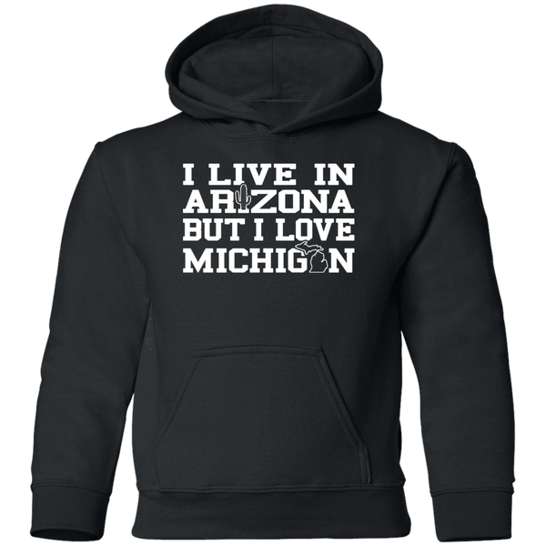 Live Arizona Love Michigan