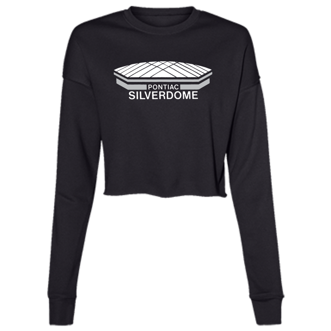 Detroit Football Silverdome Women's Cropped Crewneck Sweatshirt