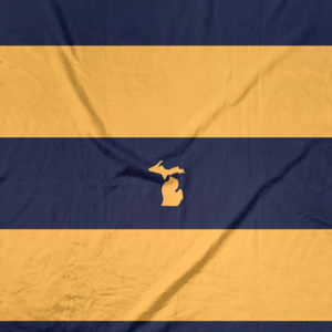 Blue And Gold Stripe